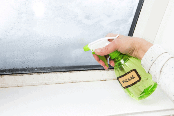 A hand sprays vinegar from a green spray bottle onto a foggy window for cleaning.
