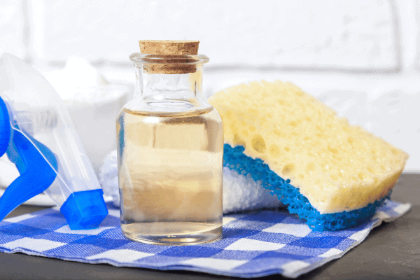 A small glass bottle of vinegar is displayed with a sponge, spray nozzle, and a blue checkered cloth.
