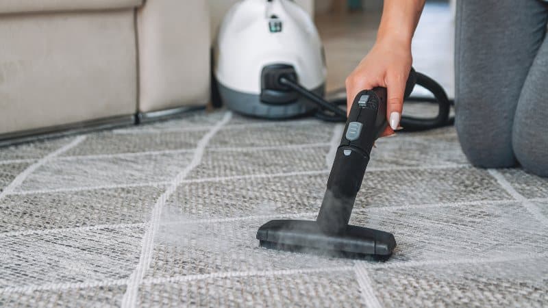 How to Steam Clean Carpets Like a Pro – Easy Step-by-Step