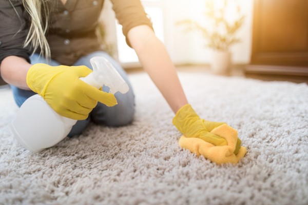 Person with yellow gloves cleaning carpet with spray bottle.